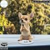Rotatable 2D Flat Tabletop Decor Featuring Praying Big Ear Dog,360° Rotating Base,Perfect Festival Gift For Home Bedroom And Office Desktop Decoration