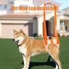Training  Disability Auxiliary Dog Walking Dog Lifting Belt Pet Lift Support Harness Pet Auxiliary Belt