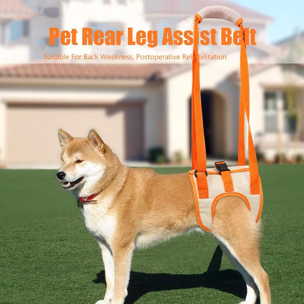 Training  Disability Auxiliary Dog Walking Dog Lifting Belt Pet Lift Support Harness Pet Auxiliary Belt