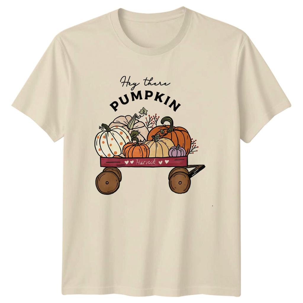 Hey There Pumpkin Harvest Unisexs TShirt Autumn Fall Thanksgiving Gift For Her