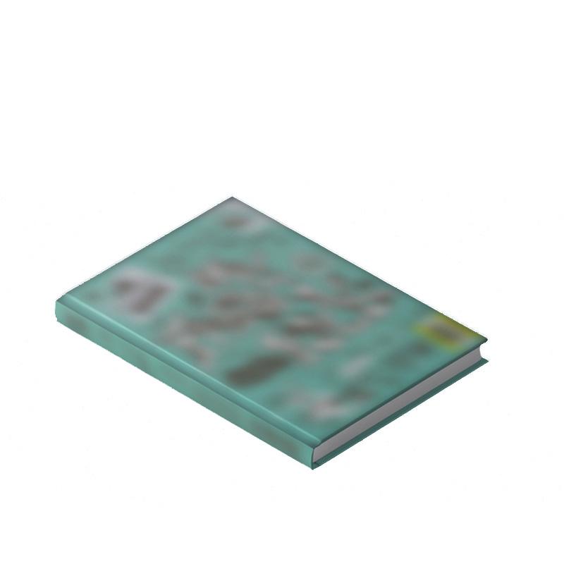 [VORBESTELLUNG] KickFlip – Mein erster Kick Mein erste Reise Version