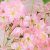 Artificial Flower Single Branch Embroidered Ball Flower Decoration Wedding Handmade Bouquet Artificial Flower Home Decoration