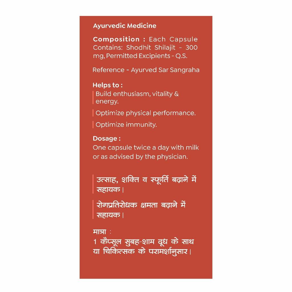 Baidyanath Asli Ayurved Nagpur Shilajit Capsules 50 Count Natural Energy and Wellness Support Supplement