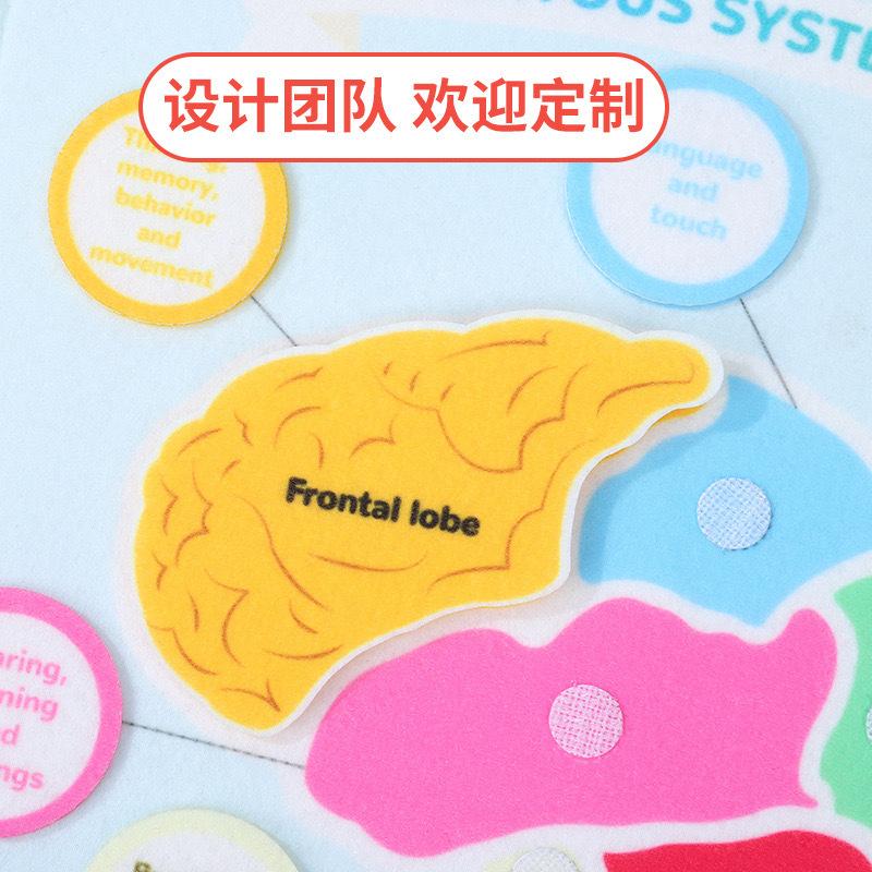 Kindergarten Teaching Aids Human Body Multi-Page Felt Busy Board Children'S Early Education Learning Board Puzzle