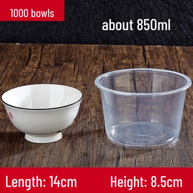 ZISIZ Disposable Dinnerware Set
