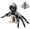 Amanda Pet Halloween Christmas Chest Back Creative Cat Dog Small Dog Spider Costume