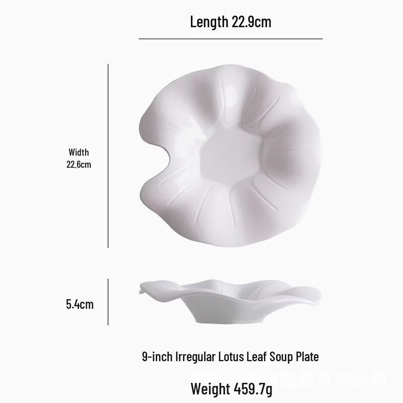 Minimalist Ceramic Western Dinner Plate
