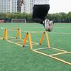 Agility Training Ladder