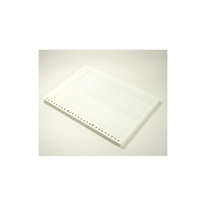 KOKUYO Three-Color Loose-Leaf Paper, B5 Size, Cash Book, 26 Holes, 100 Sheets, RI-101