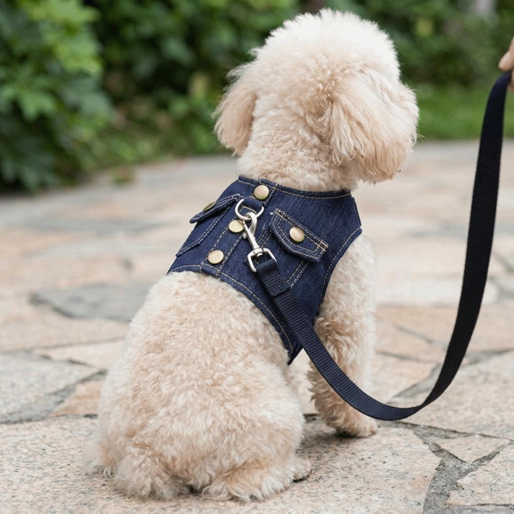 Oxford cloth Pet Harness Vest Style Escape Proof Harness Comfortable Vest Harness Pet Training S