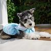Summer clothes new pet navy collar clothes pet dog dog cat dress breathable comfortable factory