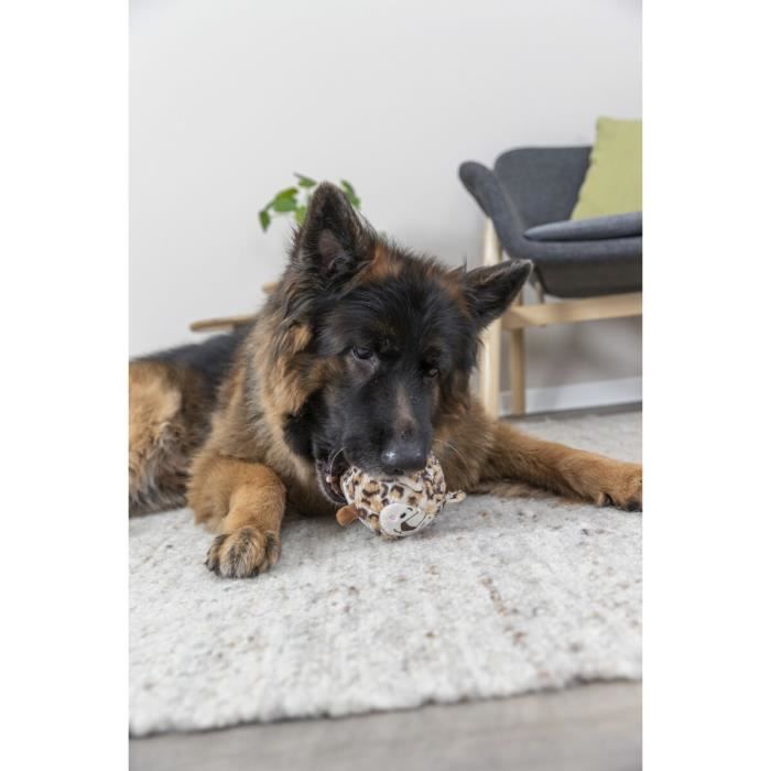 Balle pour chien - Trixie - Léopard - Peluche et caoutchouc - Taille unique - Intérieur