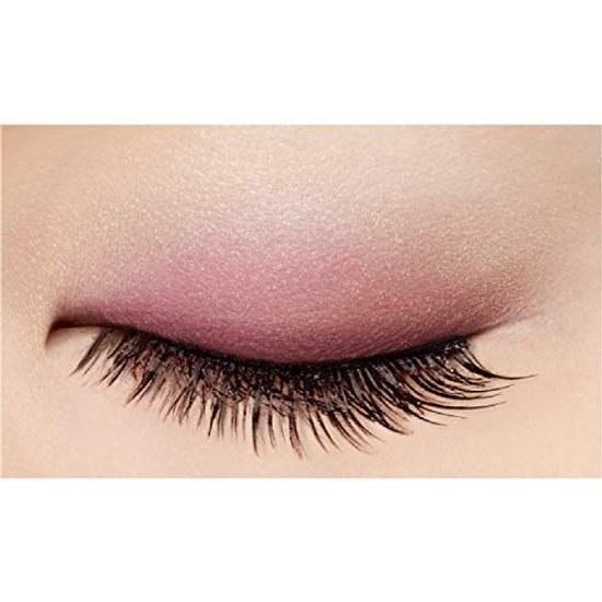 Excel Skinny Rich Shadow SR10 (Peony Brown) Palette Eyeshadow Makeup