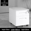 Longchan 2-Drawer Steel Mobile File Cabinet