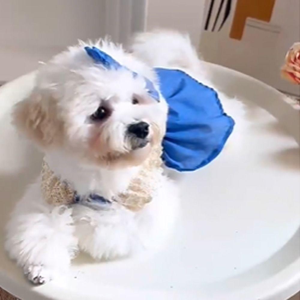 Lace Pet Clothes Breathable Cat Princess Skirt Fashion Dog Summer Vest Autumn