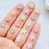 50Pcs Cute Mini Colorful Flowers Nail Art Resin Designer Charms DIY Craft For Nail 3D Decorations Jewelry