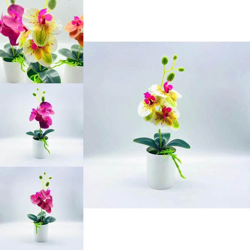 Realistic Handmade Pvc Orchid Arrangement For Indoor Decoration And Collectors
