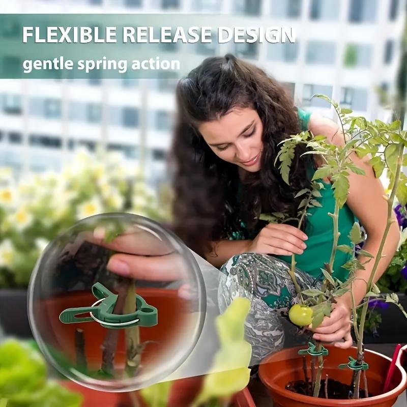 20/100pcs Heavy-Duty Garden Plant Clips | Reusable Quick-Clip Green Plastic Supports for Tomatoes, Cucumbers, Vines, Roses