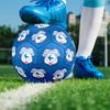 Cardiff City FC Print Size 5 Soccer Ball, PU Wear Resistant Football for Match Training and Daily Practice, Birthday Gift for Soccer Fans