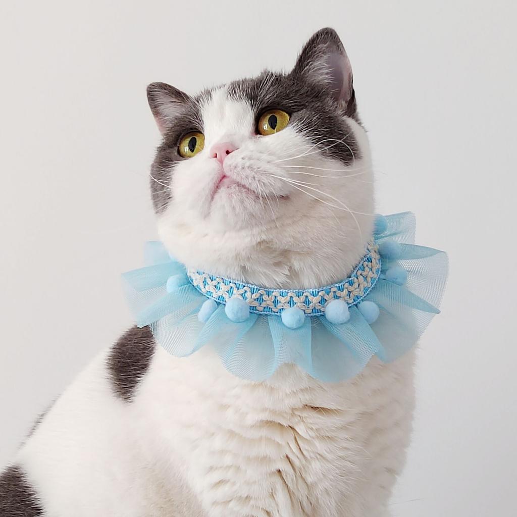 Collare Decorativo per Gatti Collare a Rete per Animali Domestici Sciarpa per Cani Collare Sciarpa per Cani Piccoli Pizzo