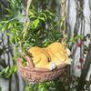 Dog Swing Ornament Cute Resin Puppy Sleeping in Woven Basket Statue Outdoor Hanging Decoration with Rope for Garden Patio Balcony Decor