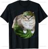 Cute Funny Cat On Watermelon Meme T Shirt Men Women ONeck Fashion  Short Sleeve Tshirts Retro Harajuku Oversized Tshirt
