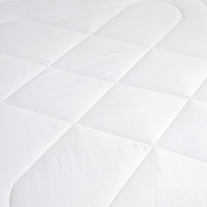 LUOLAI Antibacterial All-Season Polyester Fiber Duvet