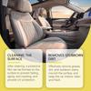 Rayhong Multifunctional Foam Car Cleaner Interior Dashboard Seat Cleaner Stain Remover Car Care Maintenance 100ml