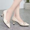 Temperament soft leather single shoes spring new high heels thick heel shallow mouth professional leather shoes