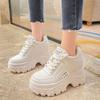 Platform dad shoes women's ins tide 2025 autumn and winter new Korean version versatile inner height increase 9cm casual sports shoes