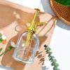 350ml Retro Nordic Pneumatic Gardening Household Watering Kettle Watering Disinfection Glass Watering Pot Meat Watering Kettle