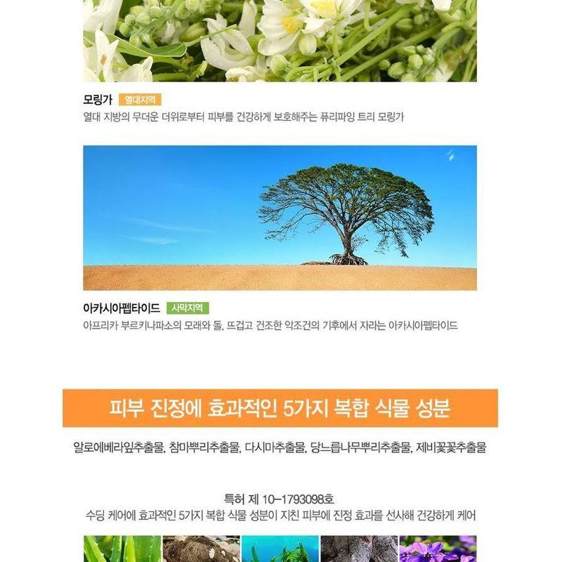 The Saem - Eco Earth Face & Body Waterproof Sun Cream