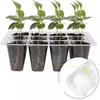 Seed Starter Tray with Ventilation Hole 12Grids Seeds Growing Cultivation Planting Box Mini Greenhouse Plant Starter,Wholesale