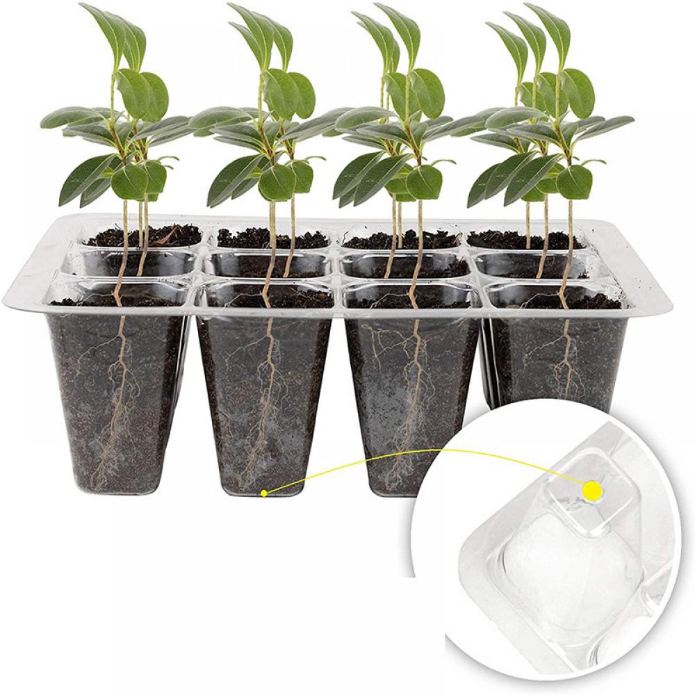Seed Starter Tray with Ventilation Hole 12Grids Seeds Growing Cultivation Planting Box Mini Greenhouse Plant Starter,Wholesale