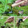 New Household Stainless Steel Garden Tools for Convenient Wooden Handle Garden Fruit Orchard Manual Tools