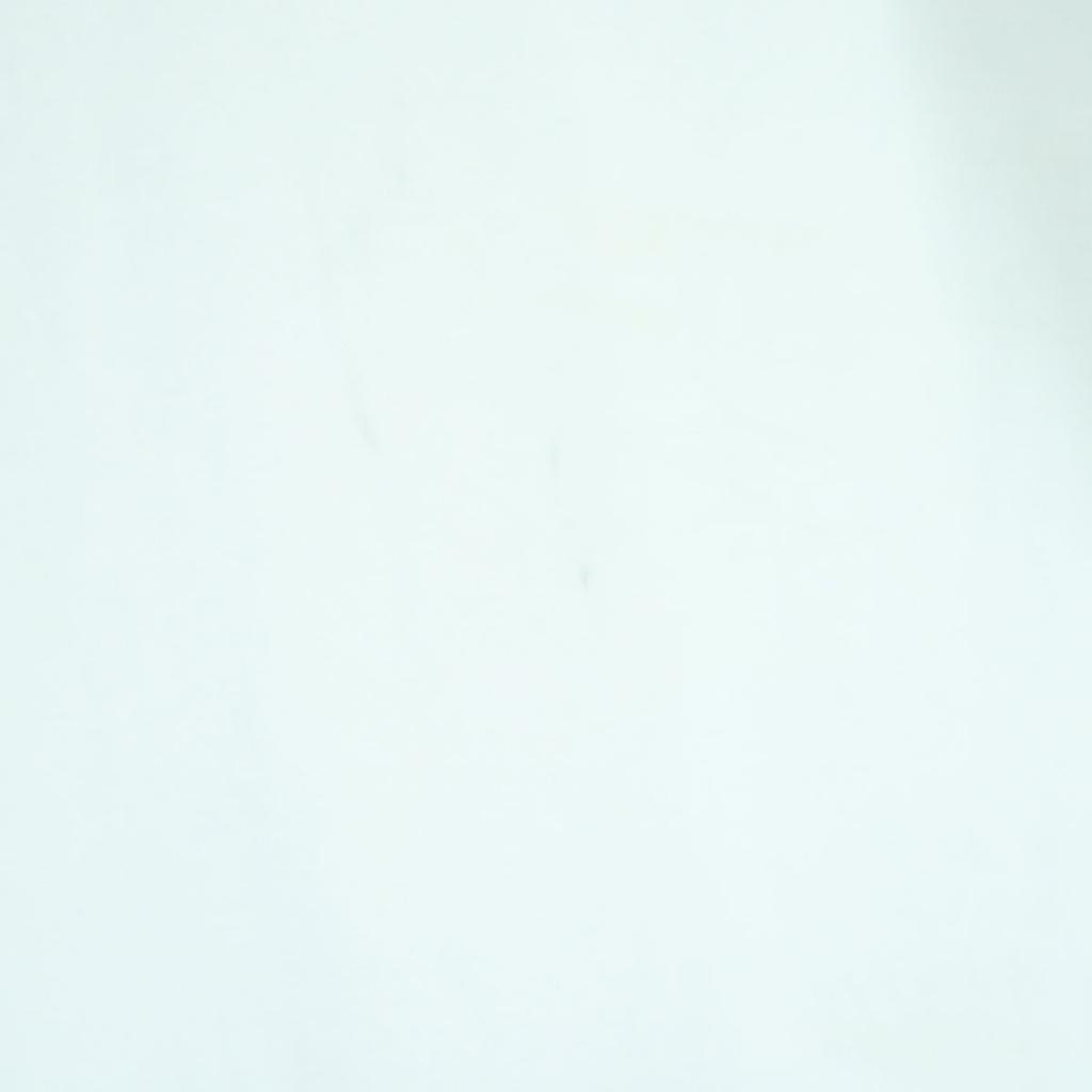 adidas Short sleeve T-shirt XO white Men's Used