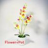 Phalaenopsis Potted Plant Ornament For Office Desk And Living Room Decor