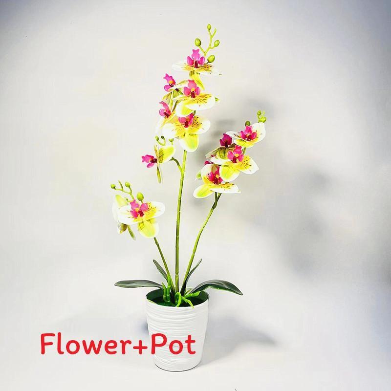 Phalaenopsis Potted Plant Ornament For Office Desk And Living Room Decor