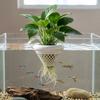 3D Printed Floating Aquarium Planting Basket Plastic Coexistence Floating Pot  Hydroponic System