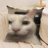 Meme Pixel Cat Cute Funny Cushion Cover Silky Short Plush Invisible Zipper Dustproof Sofa Pillow Case For Home Decor