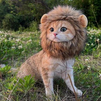 Funny Lion Wig for Cats & Dogs - Cute Halloween Costume Hat