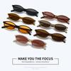 Chic Cat Eye Oval Sunglasses Lightweight Trendy 90s Sunnies UV protection Sun Glasses for Women & Men