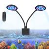 Pești și animale marine – Iluminare acvariu