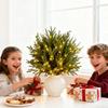Pine Branches Long-lasting Greenery Decoration 5 Pieces Christmas Pine Branches For Family Friends Party Home Holiday Gathering