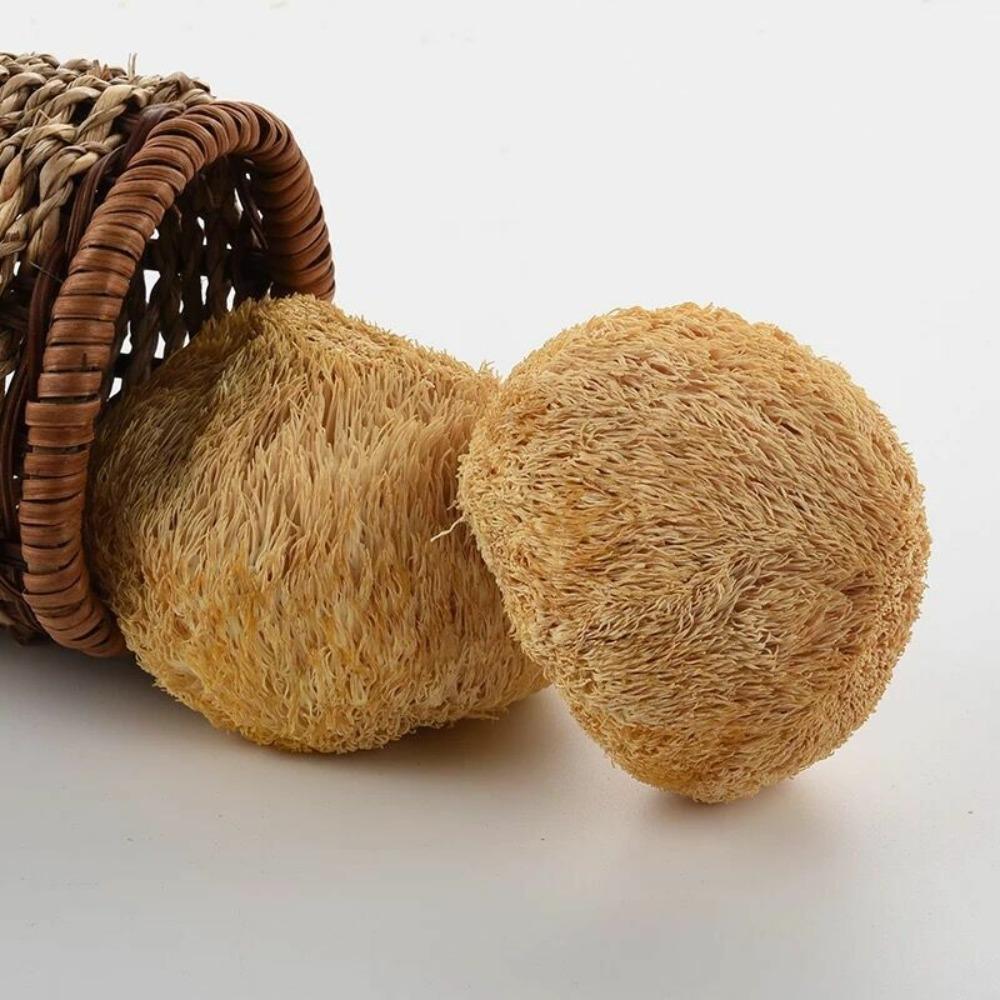 250g Βιολογικό Αποξηραμένο Μανιτάρι Μανιτάρι Λιονταριού Hericium Erinaceus Κίνα Φυτική Υγεία