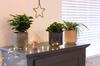 Decorative Ceramic Flower Pot Cover 13 X , 1 Piece