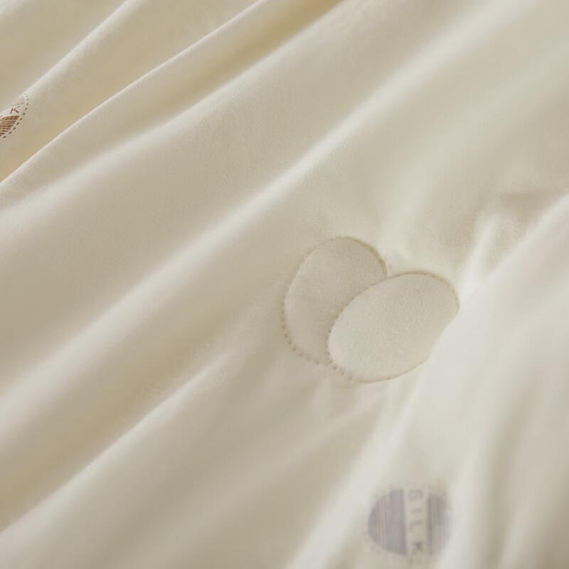 Tangna Home Textiles All-Season Soft Polyester Quilt