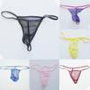 Mesh Underwear Mesh Fiber Mini Cut See-through Stretch