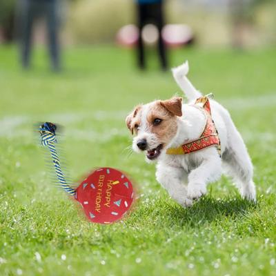 Yousheng Pet Toy Chew-Resistant Interactive Sound Maker Birthday Balloon Plush Ball Toy Medium Large Dogs Party
