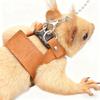 A three-piece set of three-piece anti-bite chest straps and anti-constricting straps for the two-piece vest squirrel leash